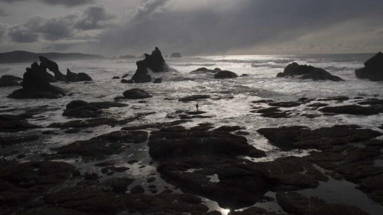 99 Exch Id ???? ????? ?? ????? ???? ?????